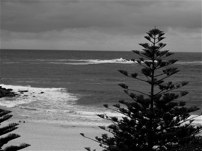 Coogee Seaside VI