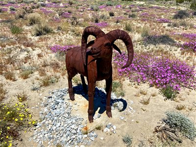 Metal Art Sculpture at Anza Borrego in CA photo