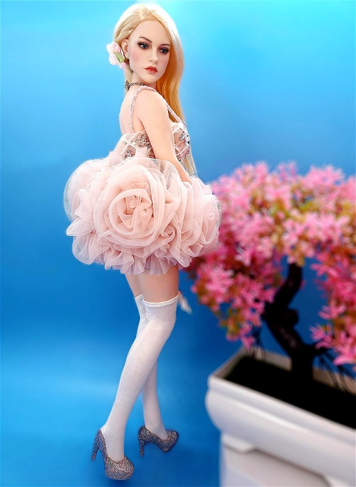I Love Ballerinas!