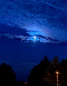 Moonlit summer night photo