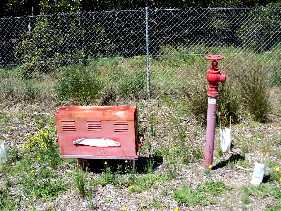 RAN Armament Depot Newington - Typical Fire Hydrant and Fire Hose Cabinet