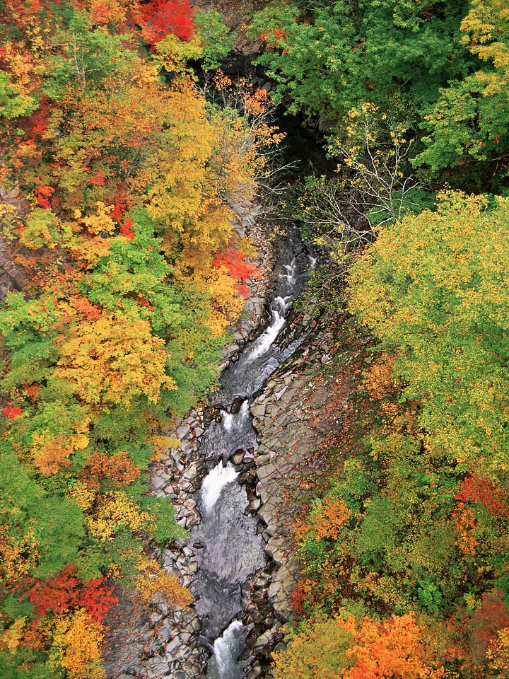 Beautiful mountain river landscape from stone footpath autumn