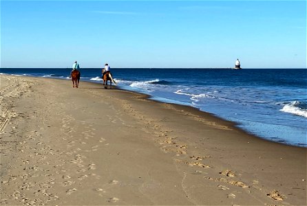 Horseback Riding on the Beach photo