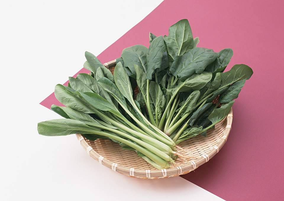 Young spinach in a basket