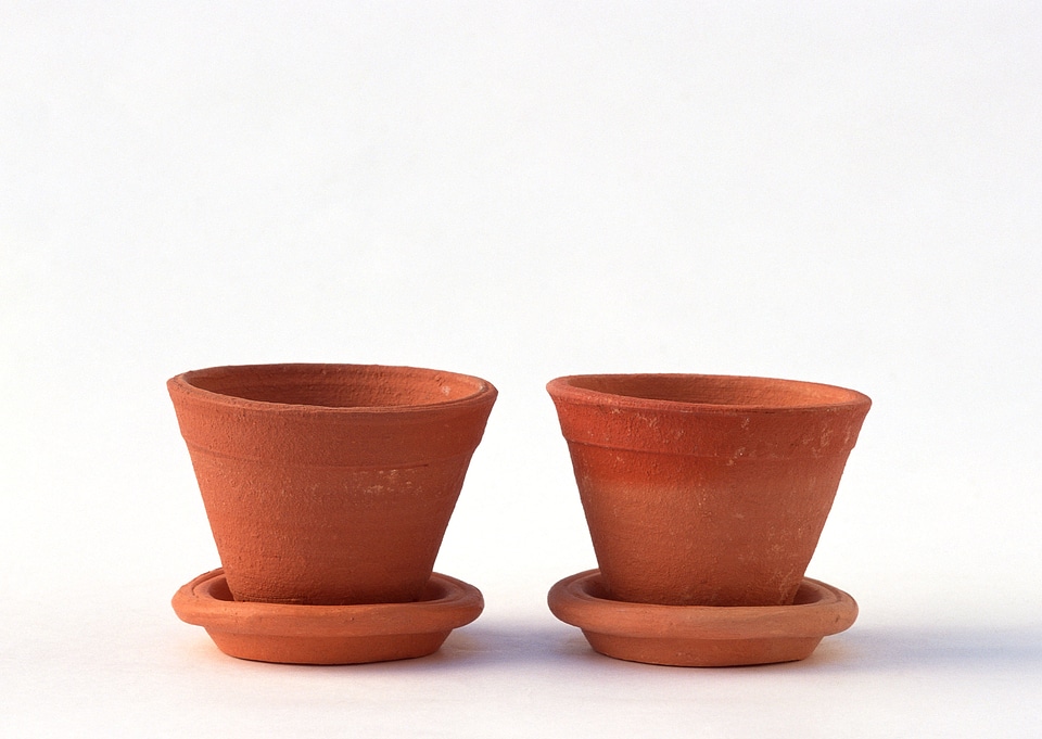 Terracotta or clay gardening pots on a wooden plank on a white