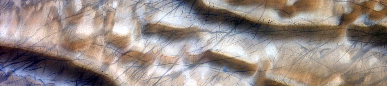 Mars - High-Latitude Active Dune-Gullies