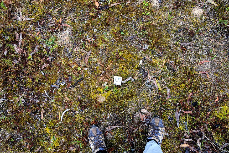 2022 Site 3 Ground photo 5