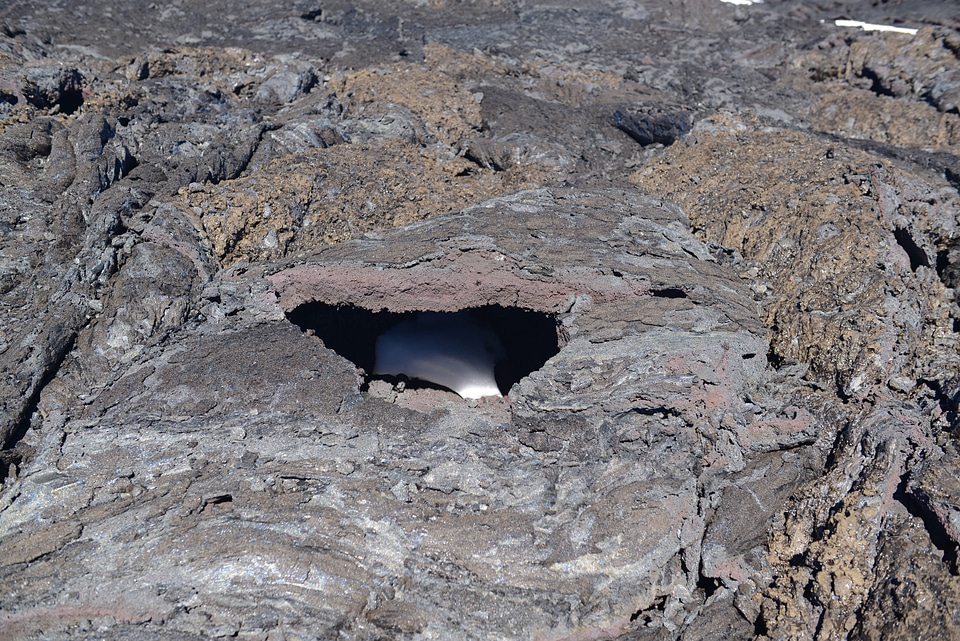 Slope of Mauna Kea; ranger station visible among the craters