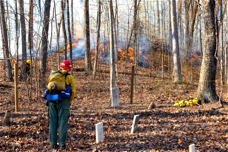 Firefighter Protecting a Historic Cemetery photo