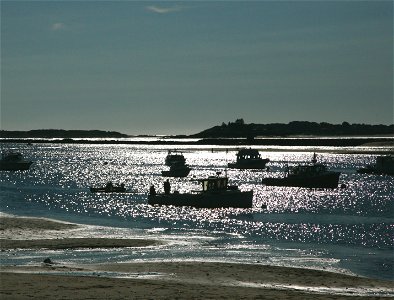 Camp Ellis lobster boats