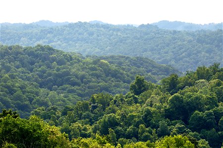 Vista of the Appalachian Foothills photo