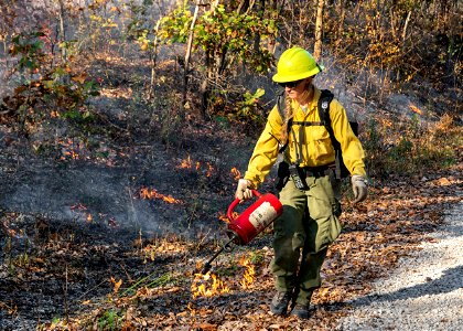 Firefighter Using Drip Torch photo