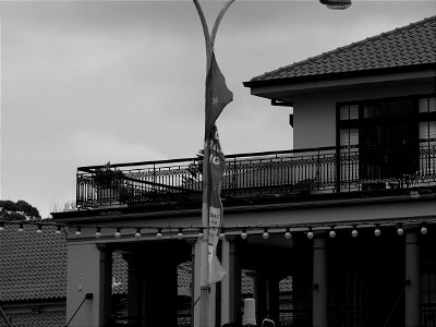 Coogee Seaside III