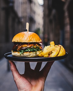 Hamburger And Fries photo