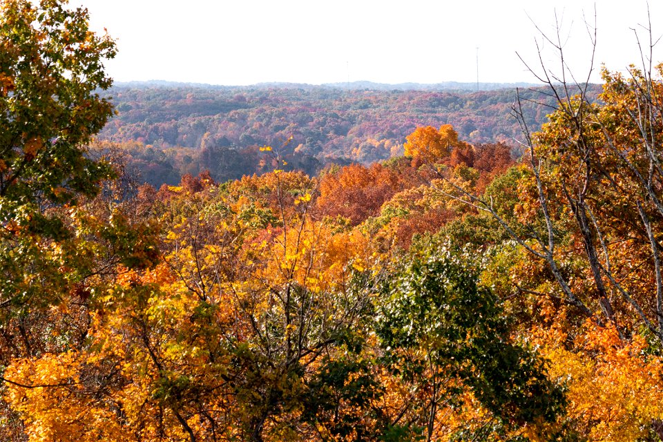 Fall Colors from Monroe Outlook