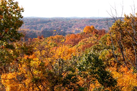 Fall Colors from Monroe Outlook photo