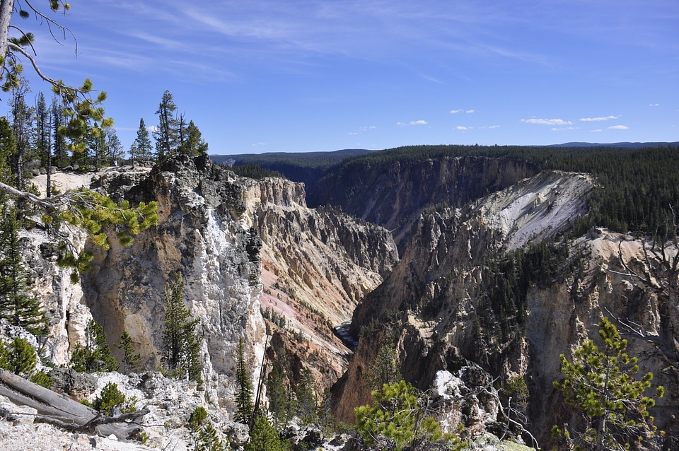 Magnificent falls in a canyon of Yellowstone national park