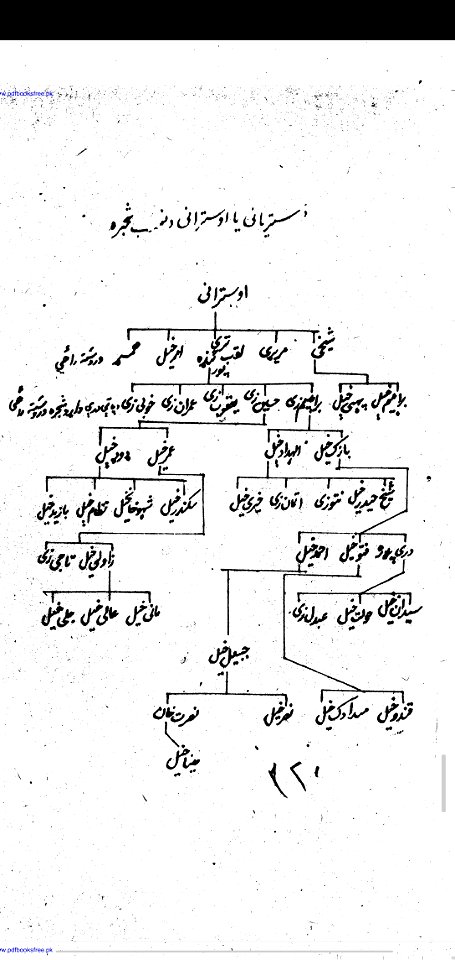Shajra Nasab Shakhi Gandapur 2