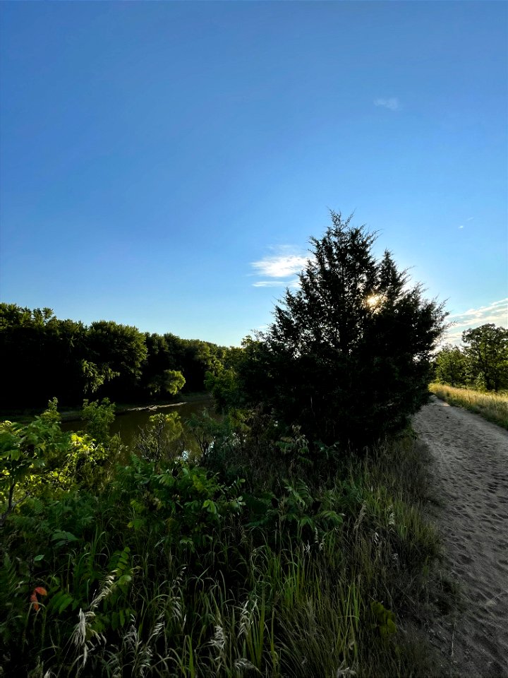Park near Crow Wing River MN 2022 Aug