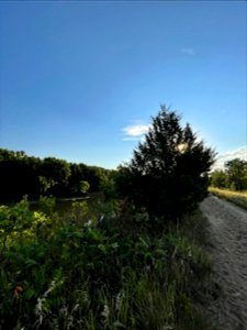 Park near Crow Wing River MN 2022 Aug