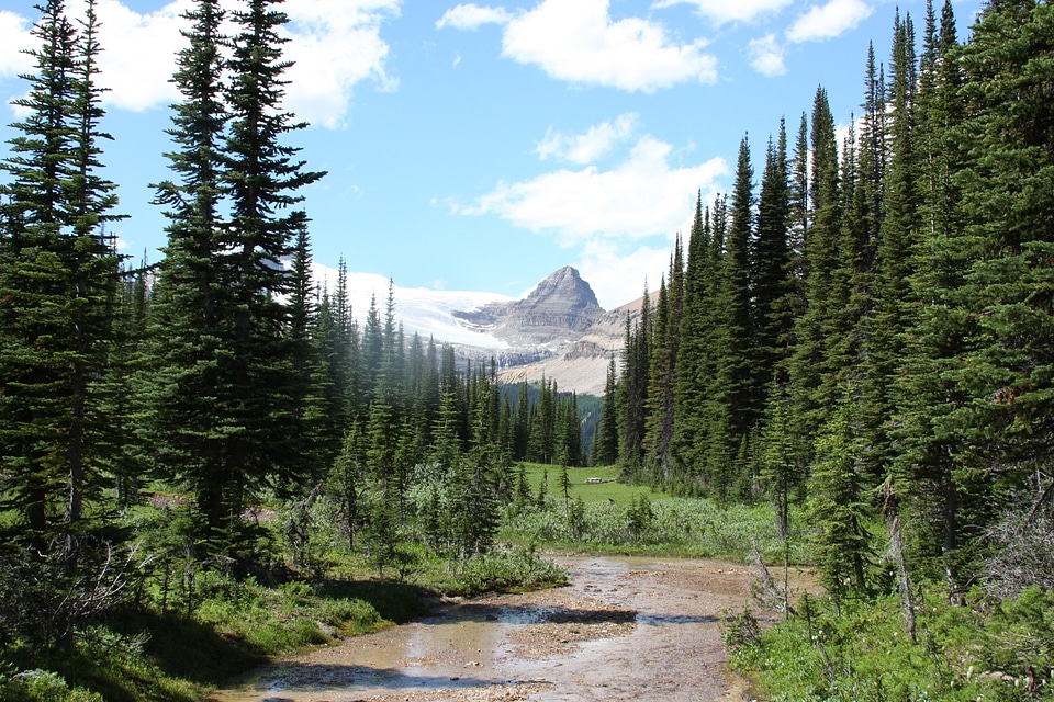 Canadian Rockies in Yoho National Park, British Columbia, Canada