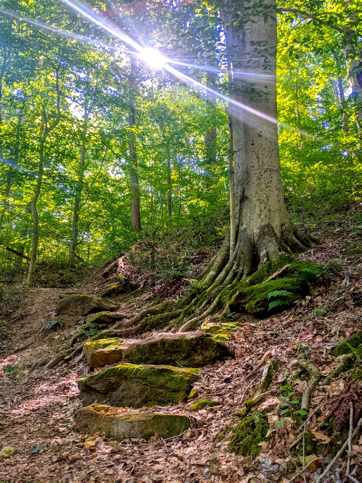 North Country National Scenic Trail