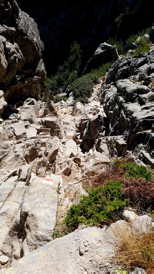 GR 20 Nord Sud Etape 7 Manganu - Petra Piana