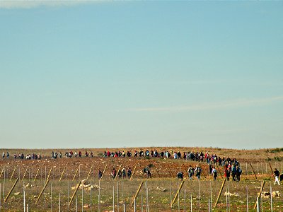 150... in fila per tre con il resto di due photo