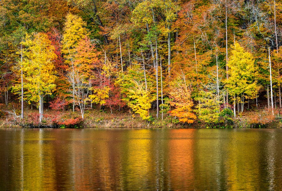 Fall Colors at Lake Vesuvius