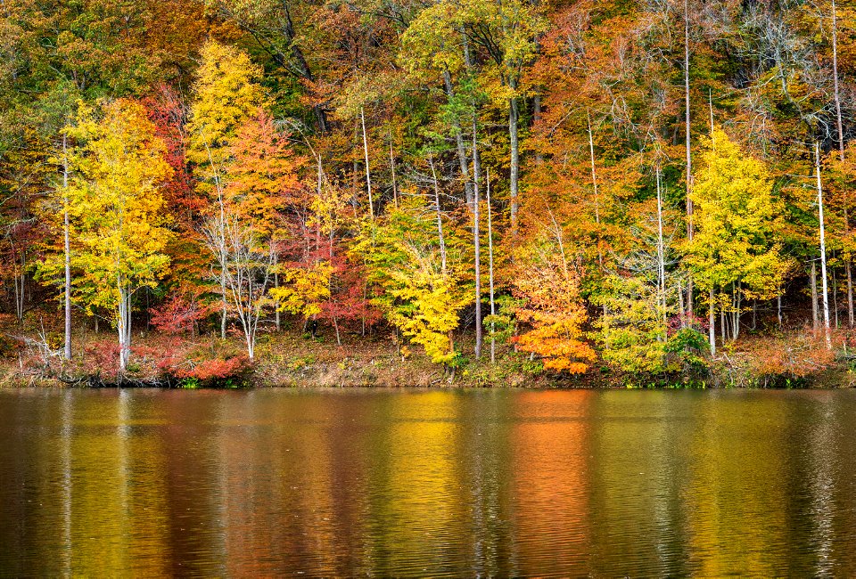 Fall Colors at Lake Vesuvius photo