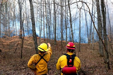 Firefighters Monitoring a Prescribed Burn