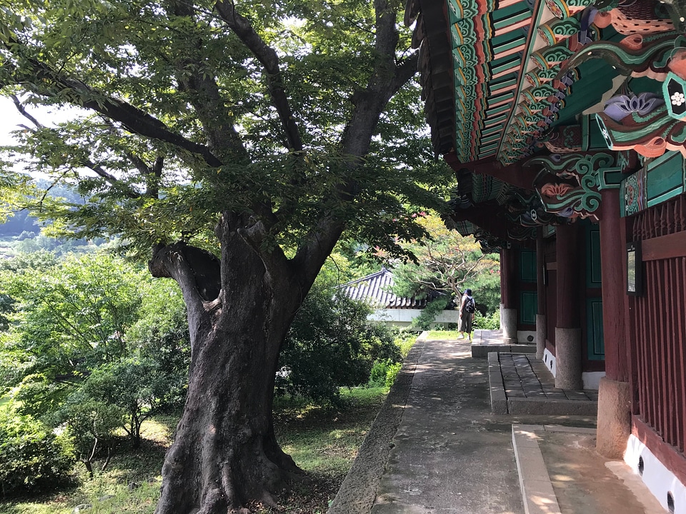 Chongryongsa in Tongyeong South Korea