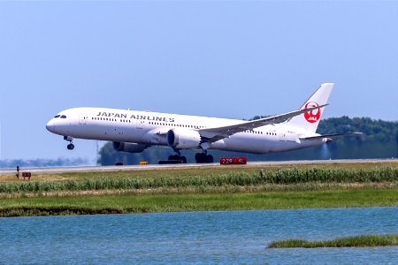 Japan Airlines 787-9 departing BOS photo