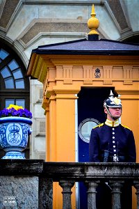 guard at the castle Stockholm photo