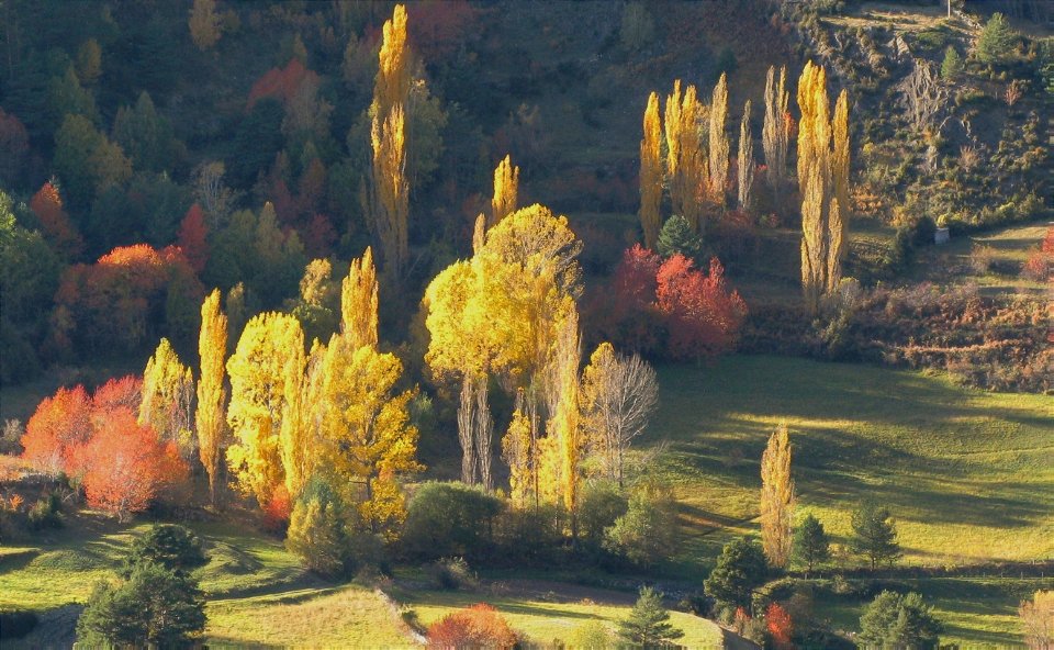 automne en aragon (spain)