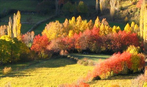 automne en aragon