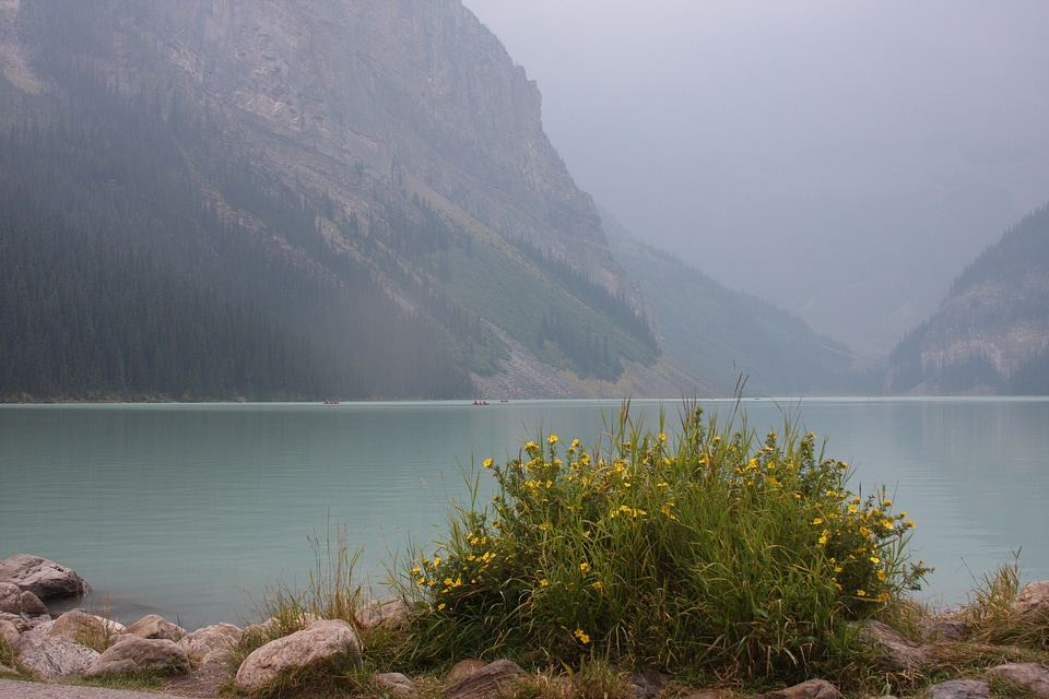Beautiful Lake Louise located in the Banff National Park