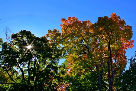 Early Autumn Colours (2) photo