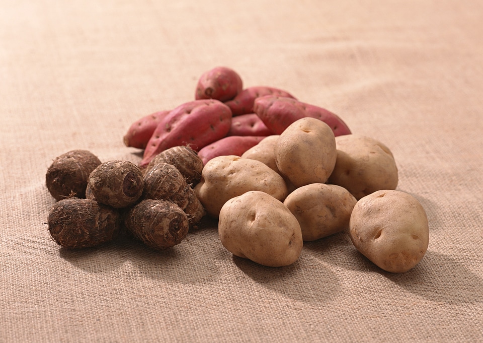 Pile of potatoes on burlap sack background