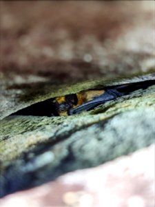 2021 Photo Contest_26