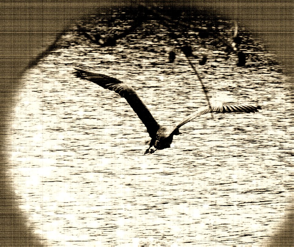GBHeron_Vintage_Effect