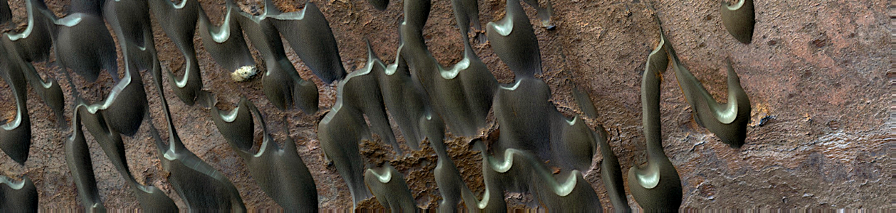 Mars - Dunes in Nili Patera photo