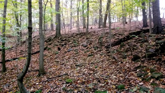20171025_104602