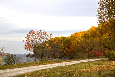 Fall Colours, Walk Along The Ottawa River photo