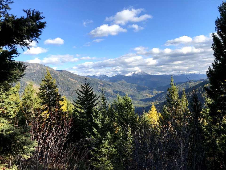 EmeryCreek-Flathead NF-001