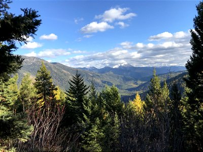 EmeryCreek-Flathead NF-001