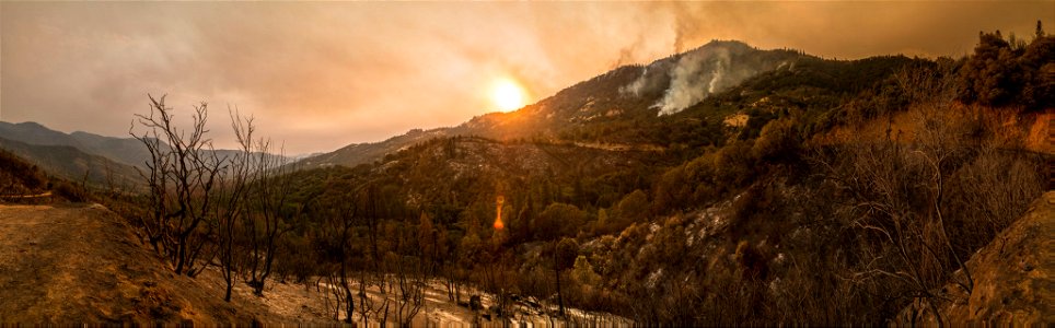 CedarFire-Sequoia-001