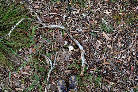 2022 Site 2 Ground photo 3