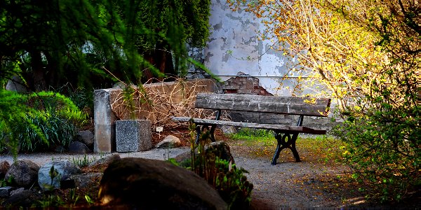 Bench in the garden photo