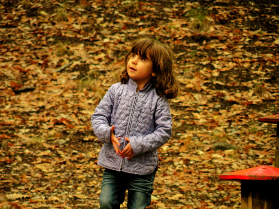 Sara in autumn colours photo